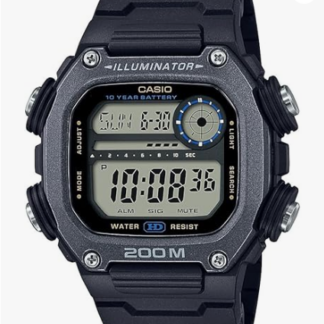 CASIO-DW291H